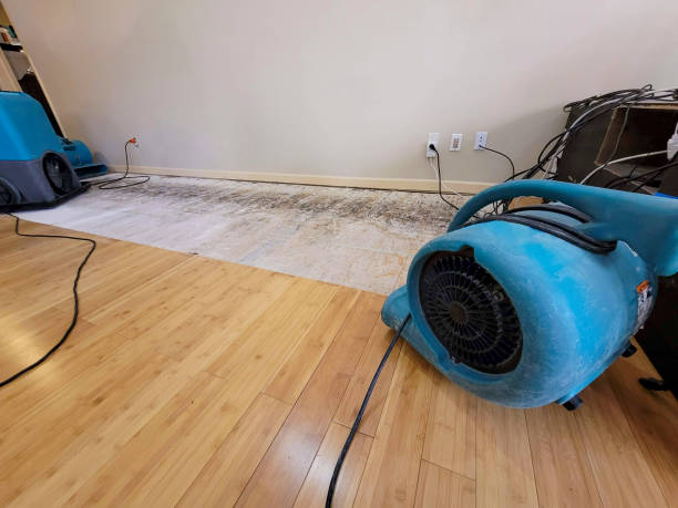 Professional Sewage Cleanup technician working in Richland, TX